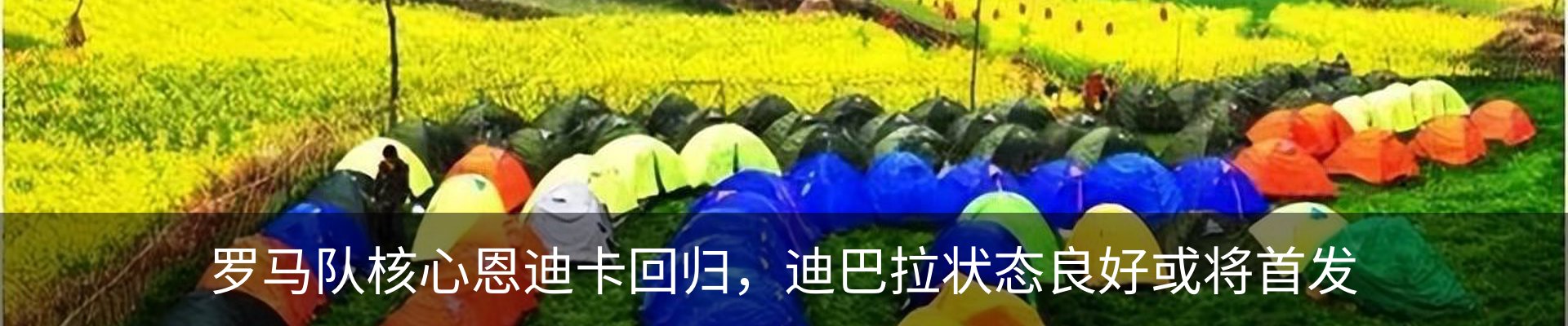 资讯动态
